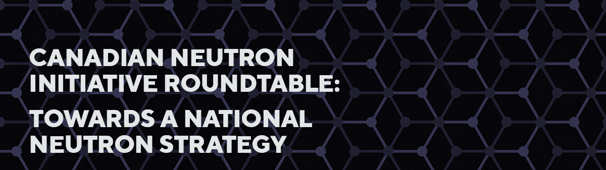 Canadian Neutron Initiative Roundtable:  Towards a National Neutron Strategy